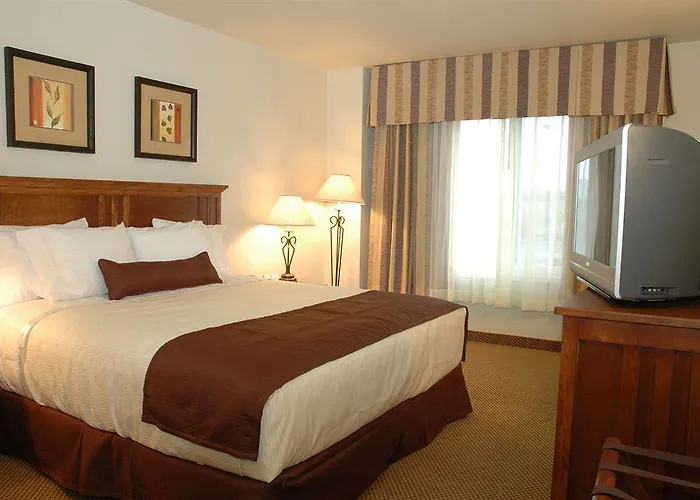 Hotel C'mon & 2*